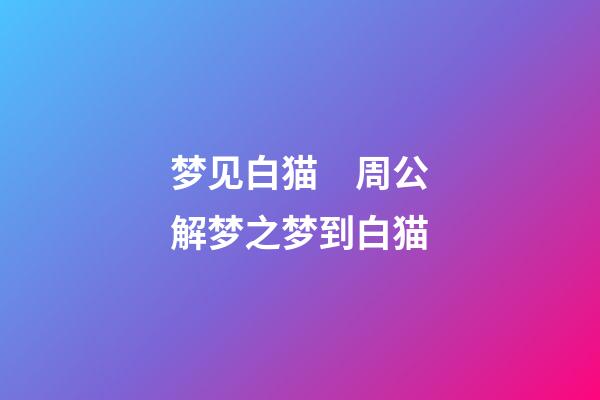 梦见白猫　周公解梦之梦到白猫